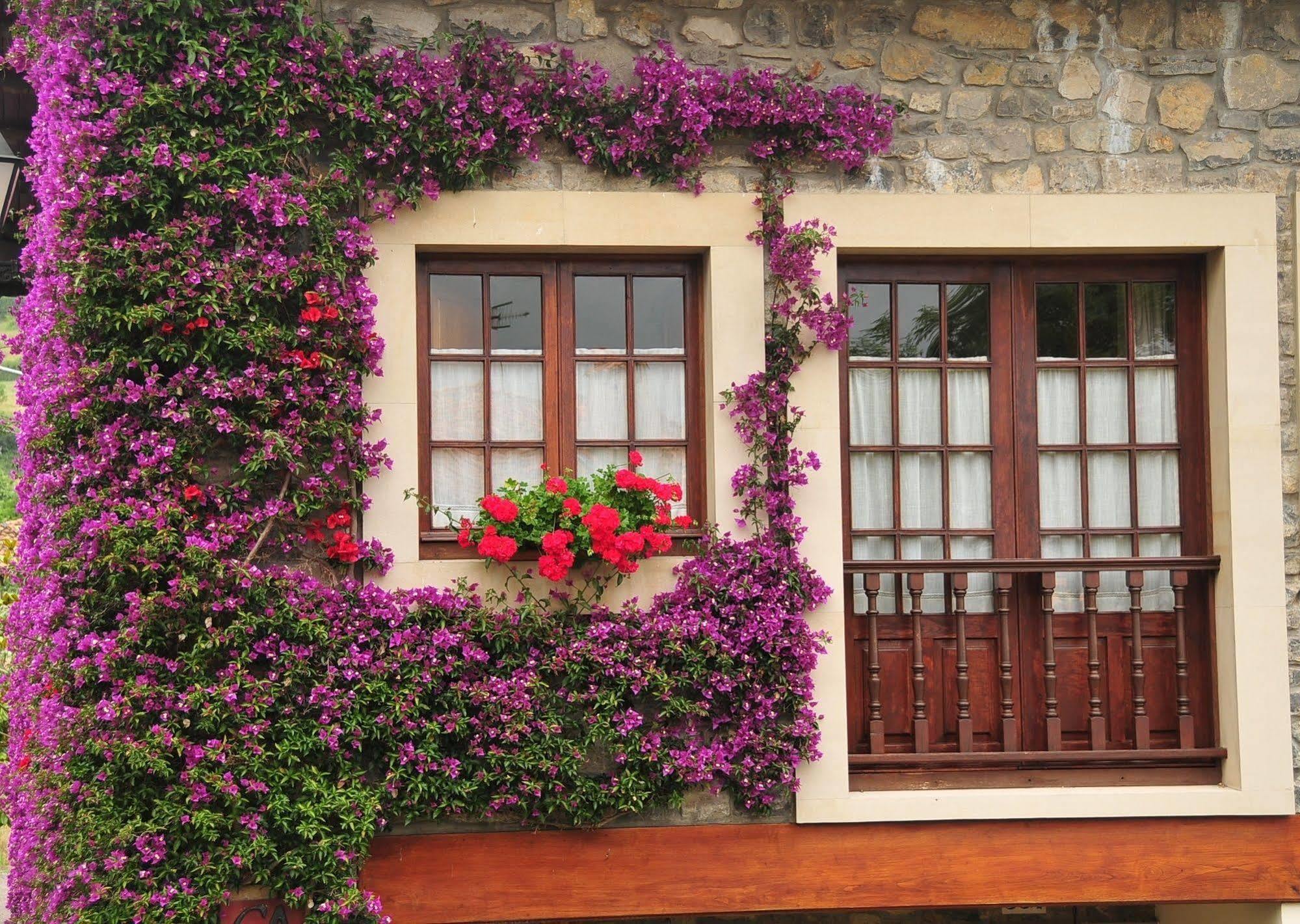 Gasthaus Casa Rural Llugaron I Miravalles Exterior foto